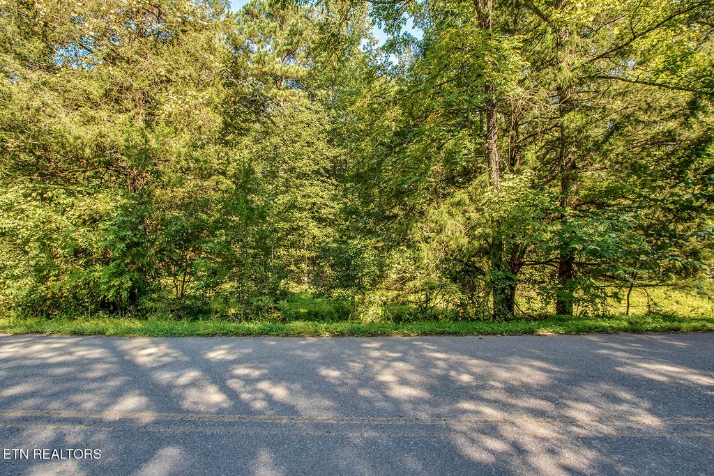 Photo of 7850 S Nopone Valley Road, Decatur, TN 37322 (MLS # 1316019)