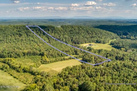 Tiny photo for 7850 S Nopone Valley Road, Decatur, TN 37322 (MLS # 1316019)