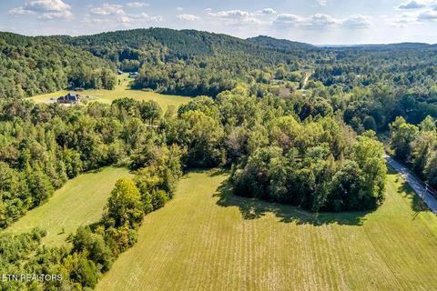 Tiny photo for 7850 S Nopone Valley Road, Decatur, TN 37322 (MLS # 1316019)