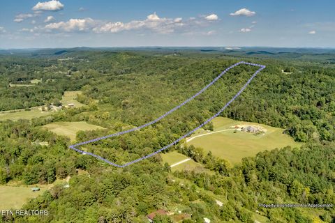 Tiny photo for 7850 S Nopone Valley Road, Decatur, TN 37322 (MLS # 1316019)