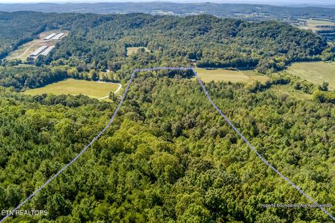 Tiny photo for 7850 S Nopone Valley Road, Decatur, TN 37322 (MLS # 1316019)
