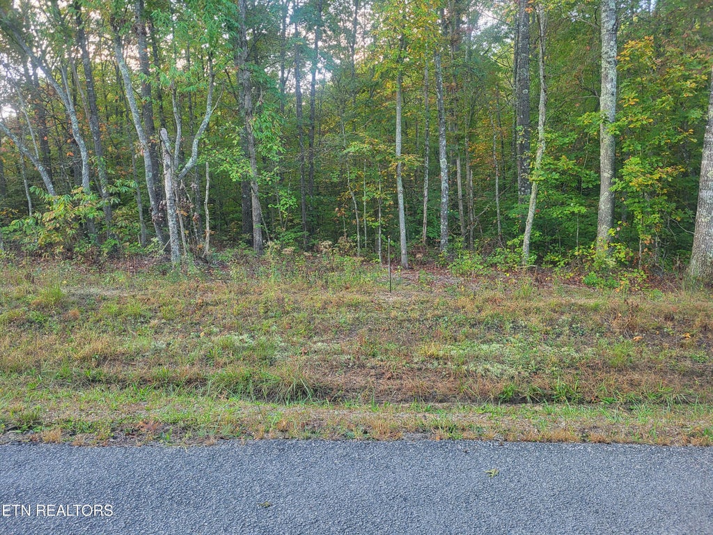Photo of 221 Malvern Rd, Crossville, TN 38558 (MLS # 1358861)