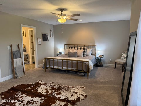 Tiny photo for 314 Broadberry Ave, Oak Ridge, TN 37830 (MLS # 1351439)