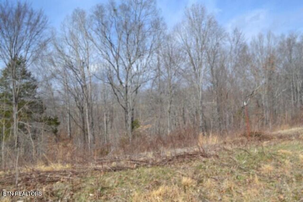 Photo of 413 Hush Hollow Lane, Baxter, TN 38544 (MLS # 1329098)