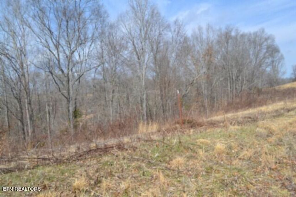 Photo of 413 Hush Hollow Lane, Baxter, TN 38544 (MLS # 1329098)