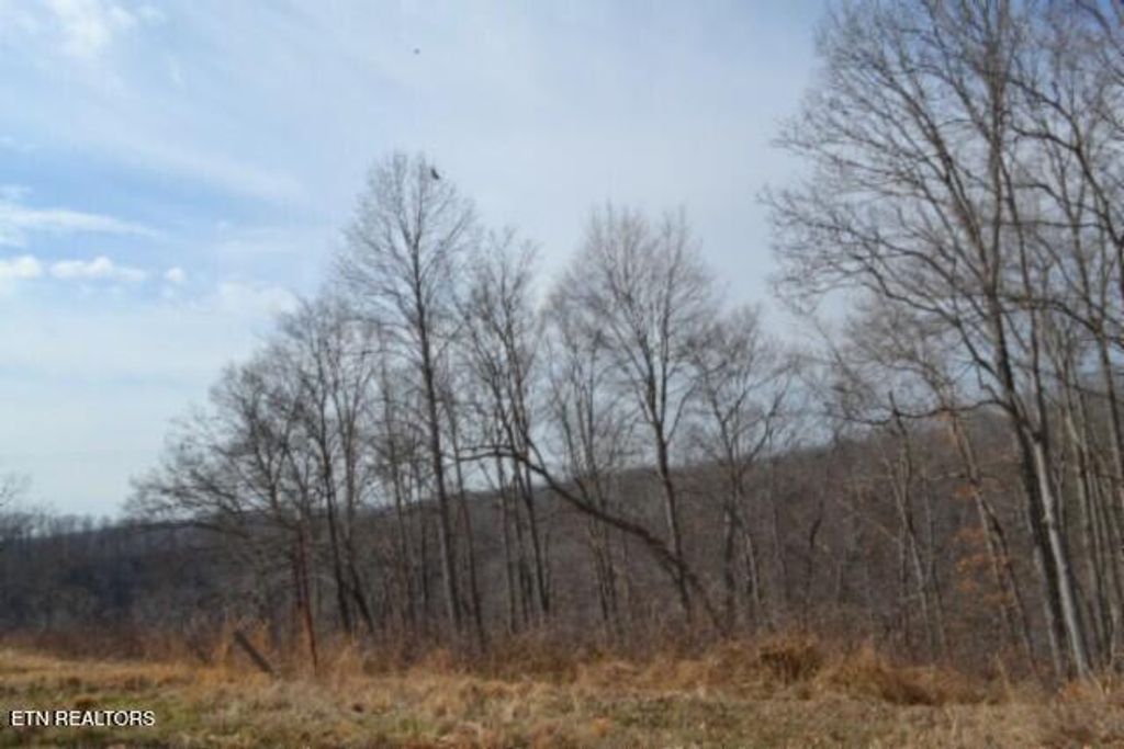 Photo of 413 Hush Hollow Lane, Baxter, TN 38544 (MLS # 1329098)