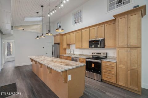 Tiny photo for 135 White Creek Court, Deer Lodge, TN 37726 (MLS # 1321722)