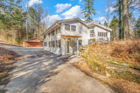 Tiny photo for 135 White Creek Court, Deer Lodge, TN 37726 (MLS # 1321722)