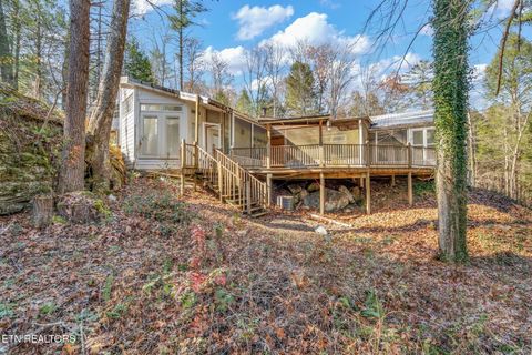 Tiny photo for 135 White Creek Court, Deer Lodge, TN 37726 (MLS # 1321722)