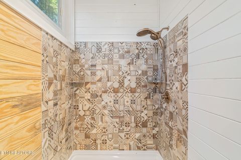 Tiny photo for 135 White Creek Court, Deer Lodge, TN 37726 (MLS # 1321722)