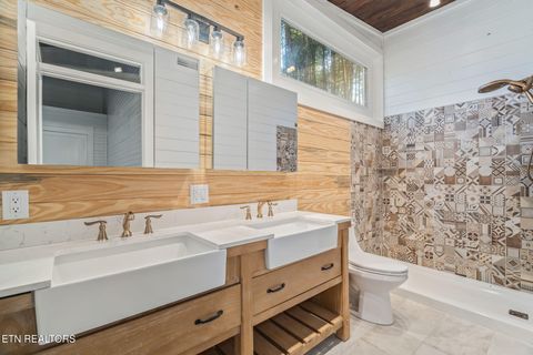 Tiny photo for 135 White Creek Court, Deer Lodge, TN 37726 (MLS # 1321722)