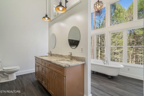 Tiny photo for 135 White Creek Court, Deer Lodge, TN 37726 (MLS # 1321722)