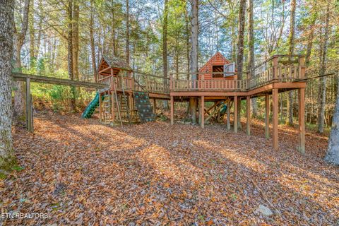 Tiny photo for 135 White Creek Court, Deer Lodge, TN 37726 (MLS # 1321722)