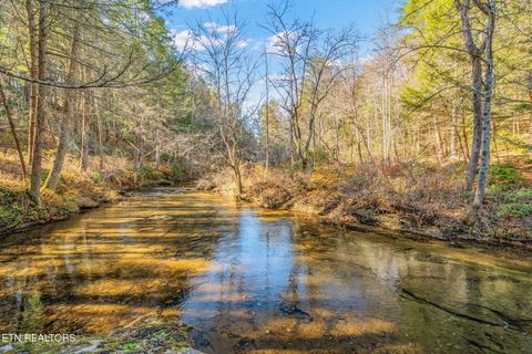 Tiny photo for 135 White Creek Court, Deer Lodge, TN 37726 (MLS # 1321722)