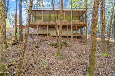 Tiny photo for 135 White Creek Court, Deer Lodge, TN 37726 (MLS # 1321722)