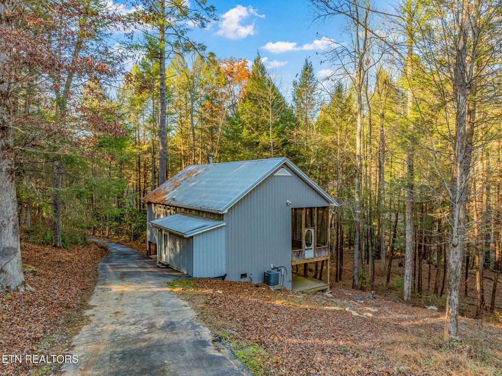 Photo of 135 White Creek Court, Deer Lodge, TN 37726 (MLS # 1321722)