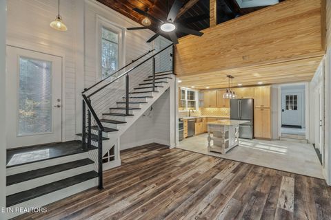 Tiny photo for 135 White Creek Court, Deer Lodge, TN 37726 (MLS # 1321722)