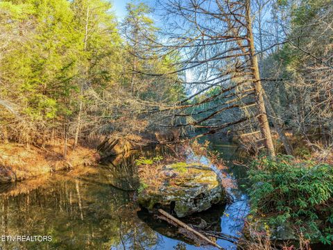 Tiny photo for 135 White Creek Court, Deer Lodge, TN 37726 (MLS # 1321722)