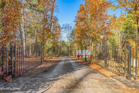 Tiny photo for 135 White Creek Court, Deer Lodge, TN 37726 (MLS # 1321722)