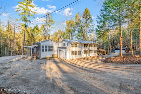Tiny photo for 135 White Creek Court, Deer Lodge, TN 37726 (MLS # 1321722)