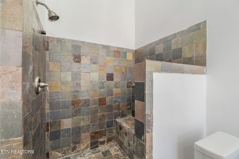 Tiny photo for 135 White Creek Court, Deer Lodge, TN 37726 (MLS # 1321722)