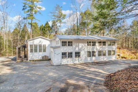Tiny photo for 135 White Creek Court, Deer Lodge, TN 37726 (MLS # 1321722)