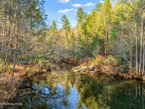 Tiny photo for 135 White Creek Court, Deer Lodge, TN 37726 (MLS # 1321722)