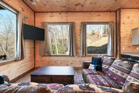 Tiny photo for 991 King Branch Rd Rd, Sevierville, TN 37876 (MLS # 1324435)