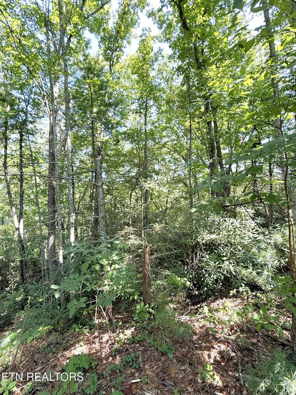 Photo of 4 Oakwood Rd, Walland, TN 37886 (MLS # 1355140)