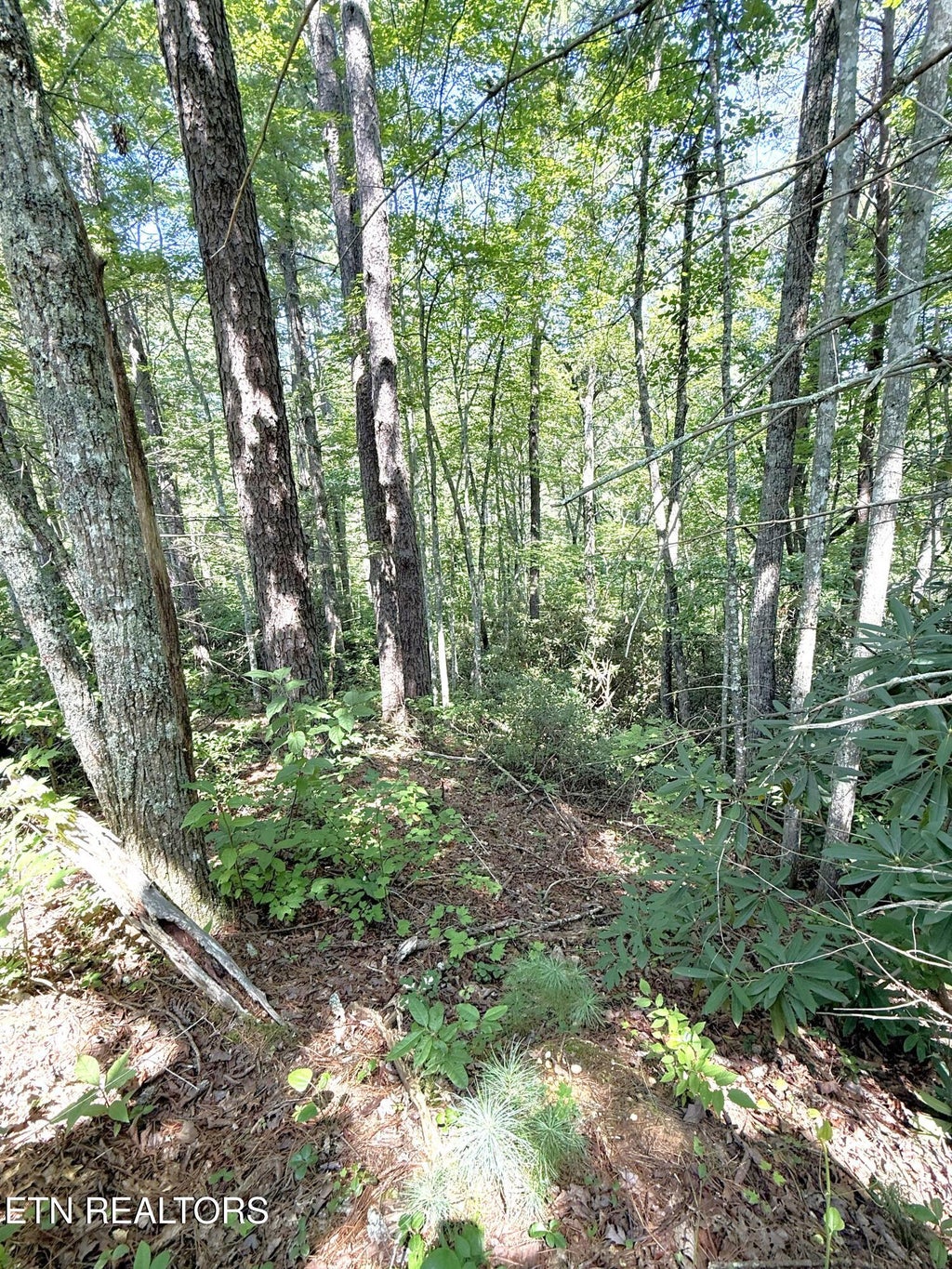 Photo of 4 Oakwood Rd, Walland, TN 37886 (MLS # 1355140)