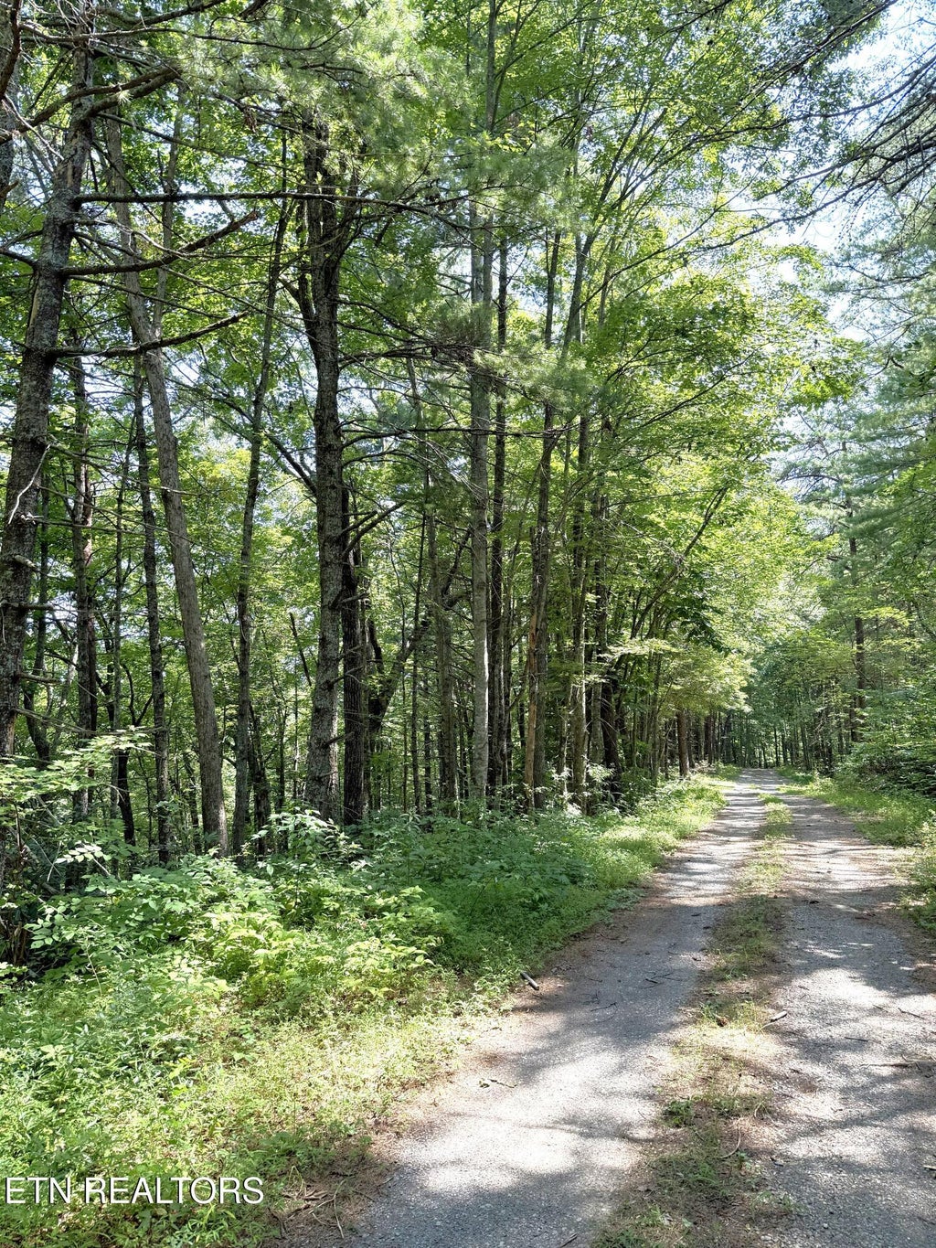 Photo of 4 Oakwood Rd, Walland, TN 37886 (MLS # 1355140)