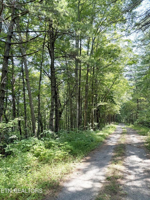 Photo of 4 Oakwood Rd, Walland, TN 37886 (MLS # 1355140)
