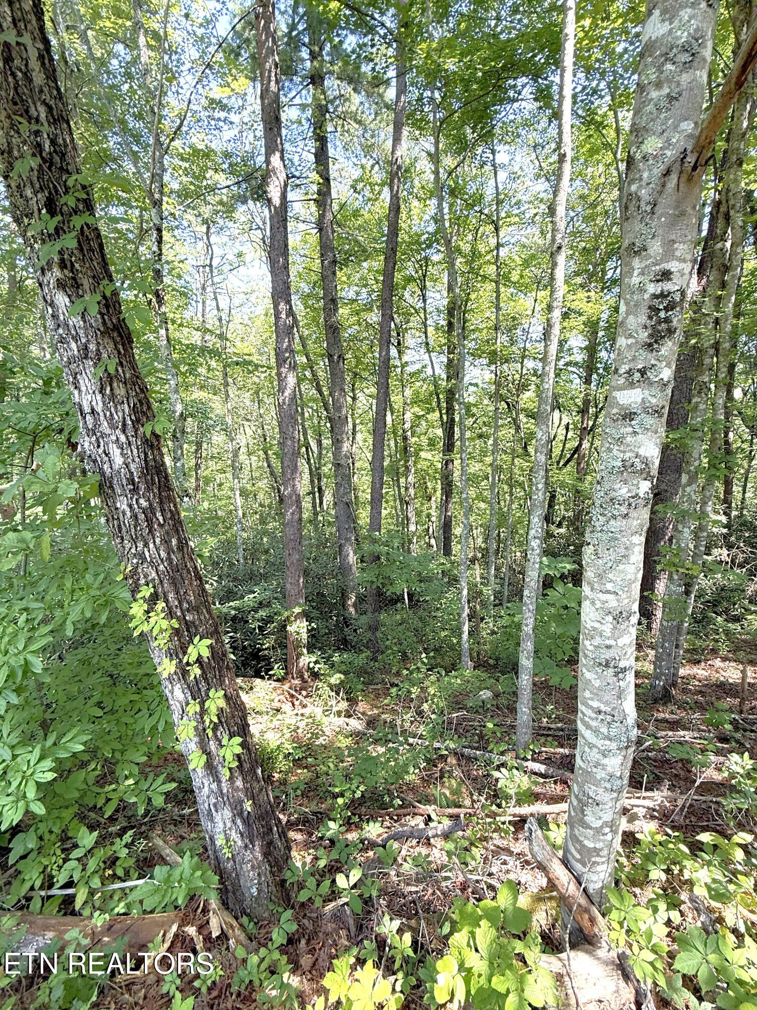 Lot 4 Oakwood Rd