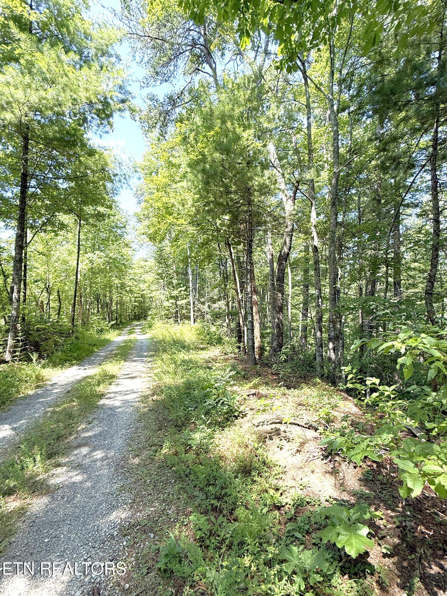 Lot 4 Oakwood Rd