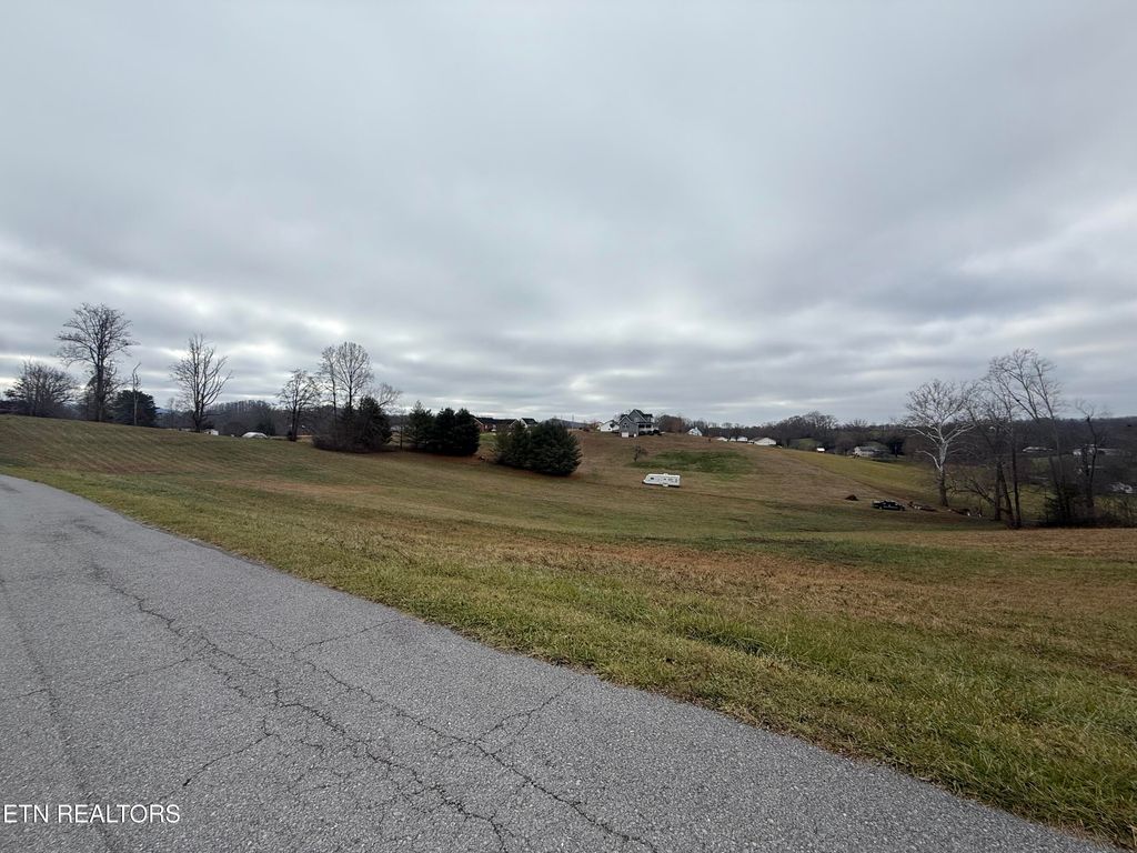 Photo of 16 Oak Point Drive, Jonesville, VA 24263 (MLS # 1323490)