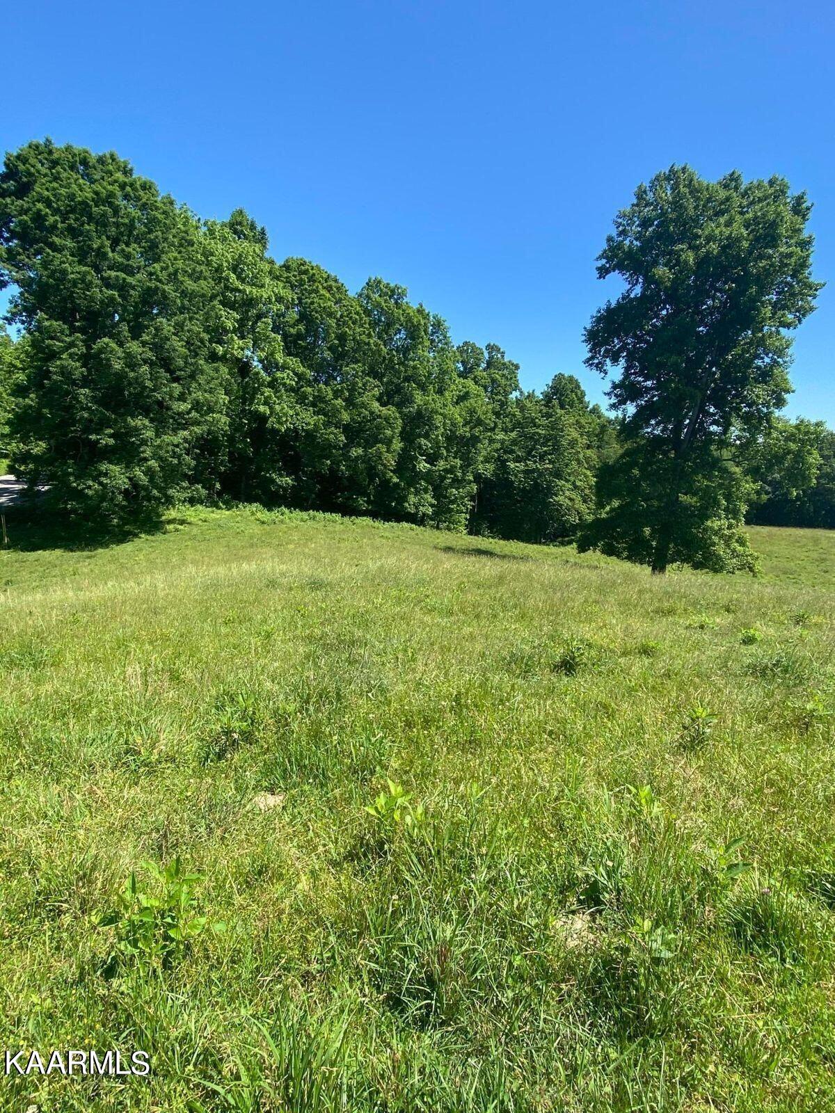 Tbd Chapman Rd