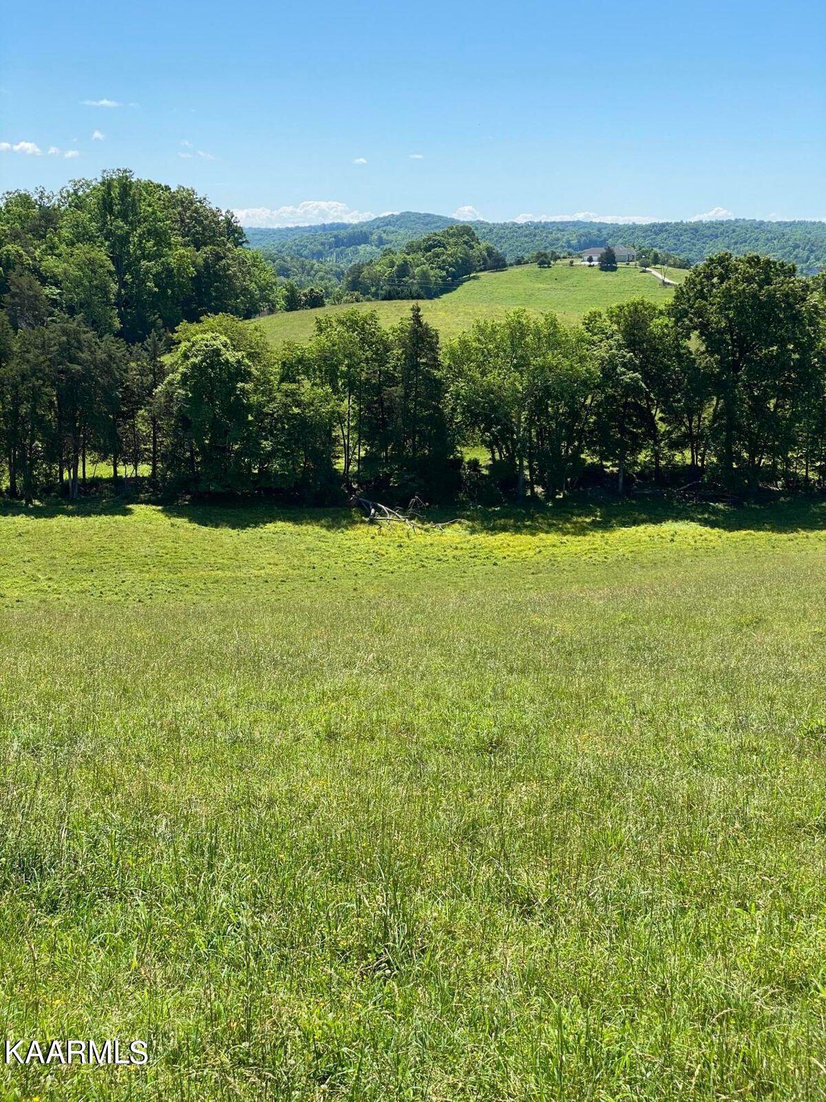 Tbd Chapman Rd