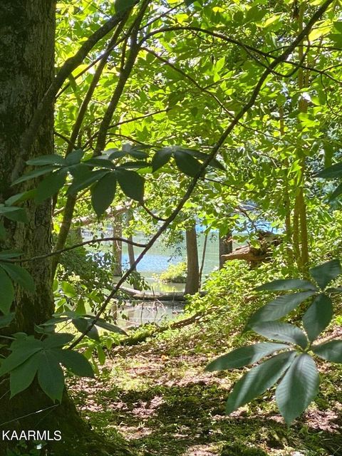 Tbd Chapman Rd LaFollette TN 37766