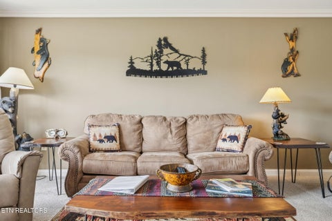 Tiny photo for 503 Dollywood Lane #UNIT 132, Pigeon Forge, TN 37863 (MLS # 1317899)