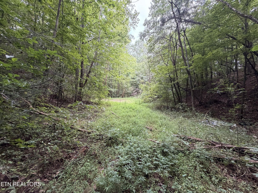 Photo of 15 Forge Hideaway Rd, Pigeon Forge, TN 37863 (MLS # 1351176)
