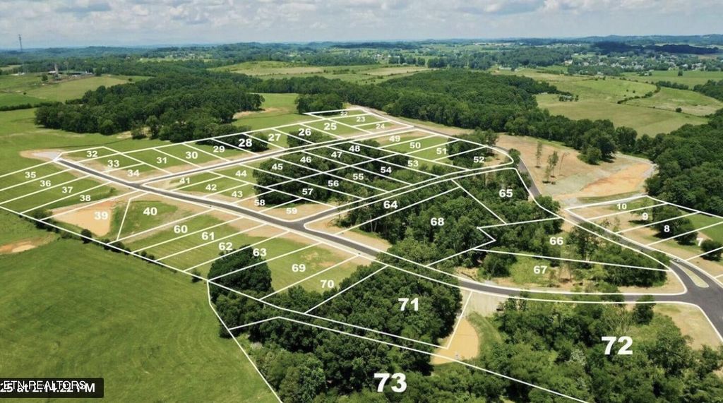 Photo of 49 Sophie Drive, Greenback, TN 37742 (MLS # 1264895)