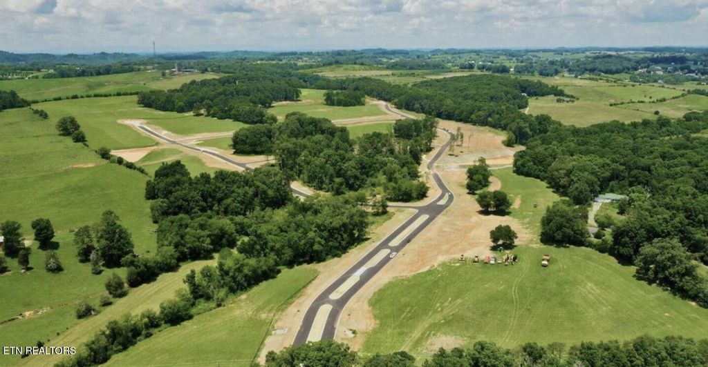 Photo of 49 Sophie Drive, Greenback, TN 37742 (MLS # 1264895)