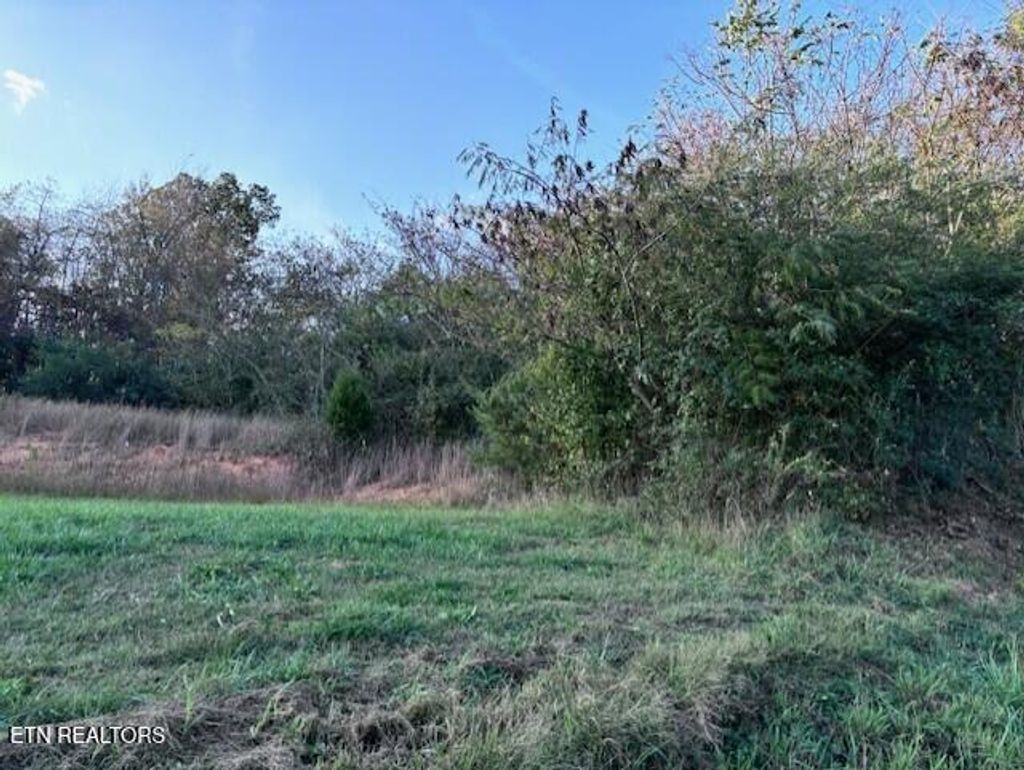 Photo of 00 Patton Street, Sweetwater, TN 37874 (MLS # 1281545)