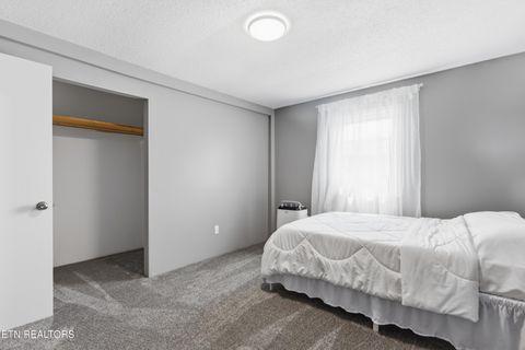 Tiny photo for 430 Browder Circle, Oliver Springs, TN 37840 (MLS # 1349269)