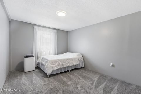 Tiny photo for 430 Browder Circle, Oliver Springs, TN 37840 (MLS # 1349269)