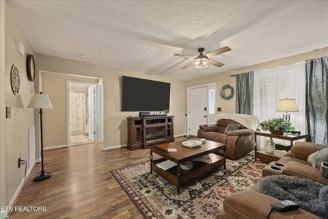 Tiny photo for 1306 Tabitha Drive, White Pine, TN 37890 (MLS # 1332255)