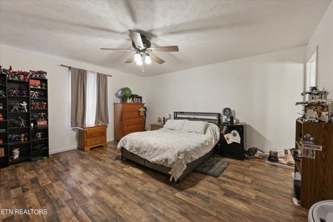 Tiny photo for 1306 Tabitha Drive, White Pine, TN 37890 (MLS # 1332255)