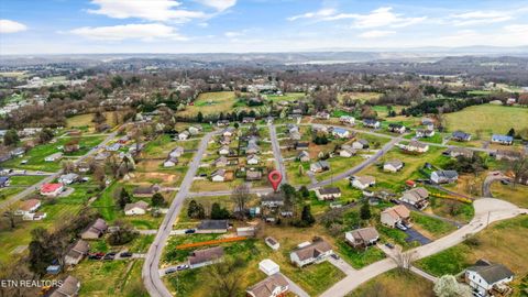 Tiny photo for 1306 Tabitha Drive, White Pine, TN 37890 (MLS # 1332255)