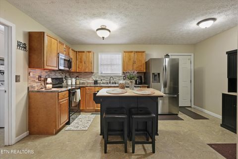 Tiny photo for 1306 Tabitha Drive, White Pine, TN 37890 (MLS # 1332255)