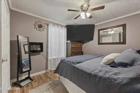 Tiny photo for 1306 Tabitha Drive, White Pine, TN 37890 (MLS # 1332255)